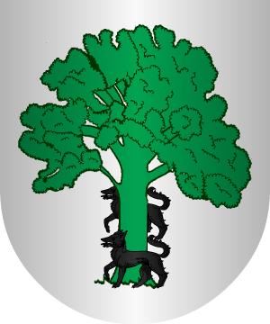 ESCUDO ALEATORIO